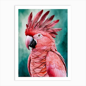 Pink Parrot 1 Art Print