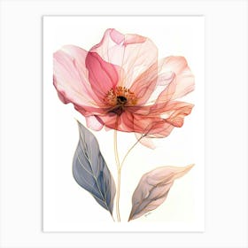 Pink Poppy Art Print