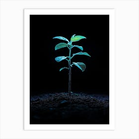 Young Plant In The Dark 7 Art Print