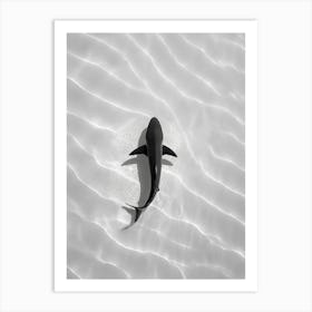 Shark In The Sand Art Print