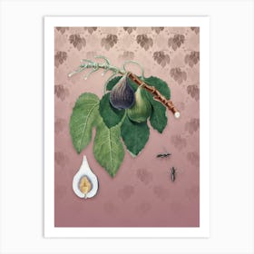 Vintage Fig Botanical on Dusty Pink Pattern n.1172 Art Print