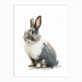 Himalayan Rabbit Kids Illustration 1 Art Print
