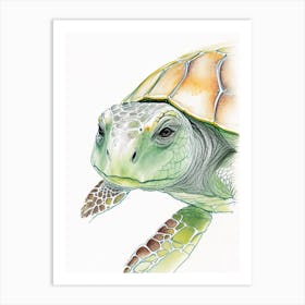 Sea Turtle Close Up, Sea Turtle Pencil Illustration 1 Art Print
