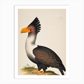 California Condor James Audubon Vintage Style Bird Art Print