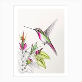 Anna S Hummingbird Quentin Blake Illustration Art Print