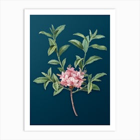 Vintage Azalea Botanical Art on Teal Blue n.0200 Art Print