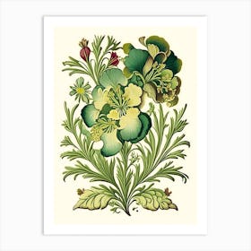 Wallflower Floral 1 Botanical Vintage Poster Flower Art Print