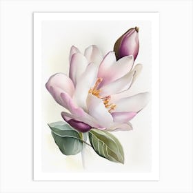 Magnolia Wildflower Watercolour Art Print