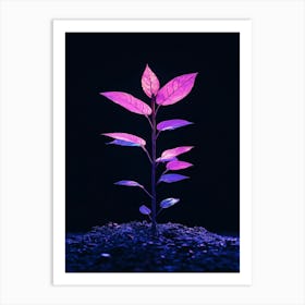 Plant In The Dark 16 Art Print