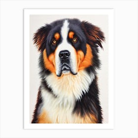 Tibetan Mastiff Watercolour Dog Art Print