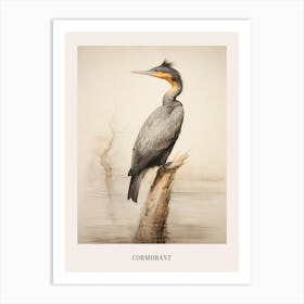 Vintage Bird Drawing Cormorant 3 Poster Art Print