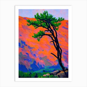 Rocky Mountain Juniper Tree Cubist 1 Art Print