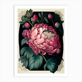 Monsieur Jules Elie Peonies Border Vintage Botanical Art Print