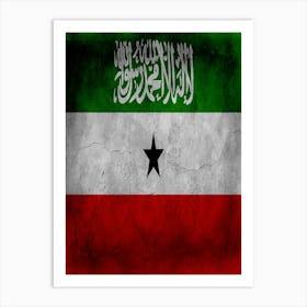 Somaliland Flag Texture Art Print