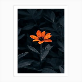 Orange Flower 3 Art Print