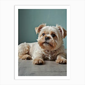 Default Wall Images Of Pets With Faint Colors 1 Art Print