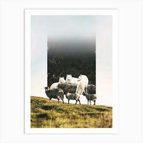 Sheep And Wolves Art Print