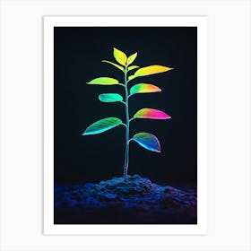 Rainbow Plant 16 Art Print