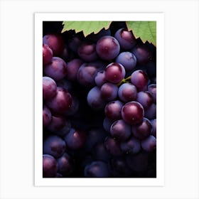 Purple Grapes 1 Art Print