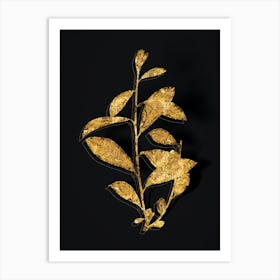 Vintage Grey Willow Botanical in Gold on Black n.0066 Art Print