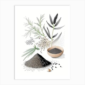 Black Sesame Spices And Herbs Pencil Illustration 3 Art Print