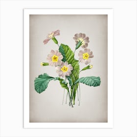Vintage Grandiflora Botanical on Parchment n.0964 Art Print