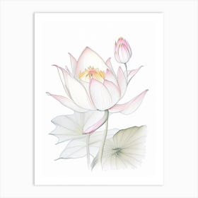 Lotus Floral Quentin Blake Inspired Illustration 4 Flower Art Print