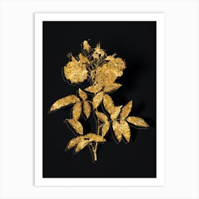 Vintage Hudson Rose Botanical in Gold on Black n.0079 Art Print