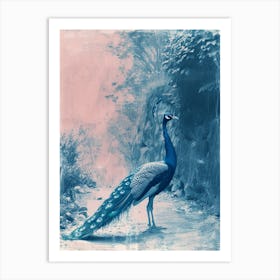 Peacock In The Wild Blue Cyanotype 3 Art Print