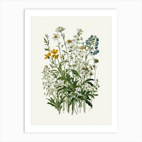 Vintage Botanical Galleria Style Wildflower Painting 15 Art Print