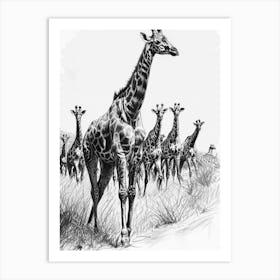 Herd Of Giraffes In The Grass Pencil Drawing 2 Art Print