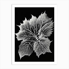 Shiso Leaf Linocut 1 Art Print