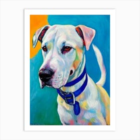 Dogo Argentino 2 Fauvist Style Dog Art Print