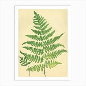 Vintage Illustration Southern Maidenhair Fern 1 Art Print