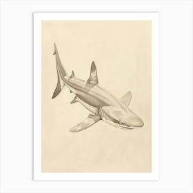 Phoebefy A Pencil Crayon Drawing Of A Shark Centred 1970prese 2195bb1a Fbb7 4268 9d5c 8ad9e61ce27a 1 Art Print