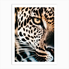 Close Up Of A Leopard Art Print