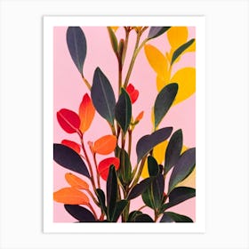 Kalanchoe Thyrsiflora Colourful Illustration Plant Art Print