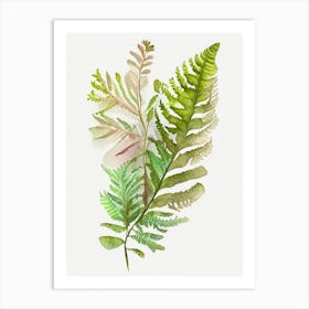 Royal Fern Wildflower Watercolour 1 Art Print