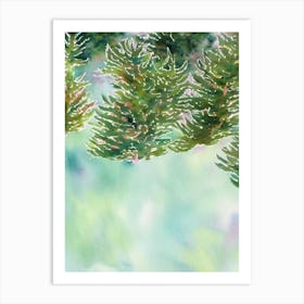 Acropora Echinata Storybook Watercolour Art Print