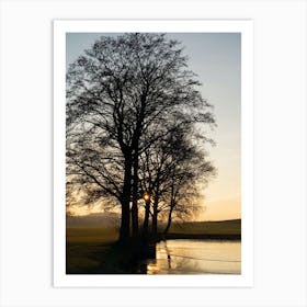 Trees, water and golden evening light Art Print