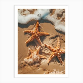 Starfish On The Beach 14 Art Print