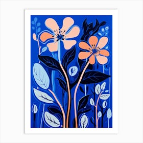 Blue Flower Illustration Kangaroo Paw 3 Art Print