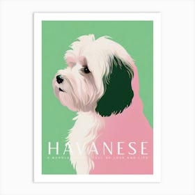 Artful Havanese Dog Retro Poster Turquoise Art Print