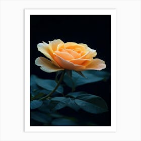 Yellow Rose 3 Art Print