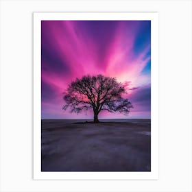 Lone Tree At Sunset 1 Art Print