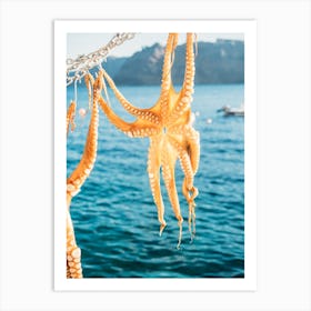 Drying Octopus Art Print