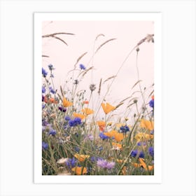 Wild Poppies 2 Art Print