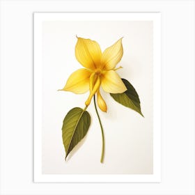 Pressed Wildflower Botanical Art Yellow Trillium Art Print