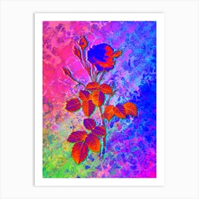 Provence Rose Botanical in Acid Neon Pink Green and Blue n.0204 Art Print
