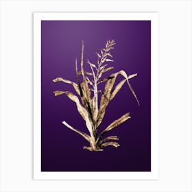 Gold Botanical Pitcairnia Bromeliaefolia on Royal Purple n.4880 Art Print